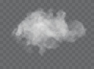Transparent special effect stands out with fog or smok