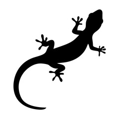 Black silhouette of a gecko, a common lizard, on white background
