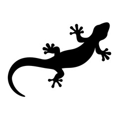 A Silhouette of a Gecko or Lizard Crawling on a White Surface