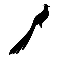 Black silhouette of a regal bird with a very long tail
