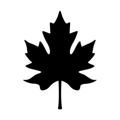 Single black and white image of a maple leaf silhouette design