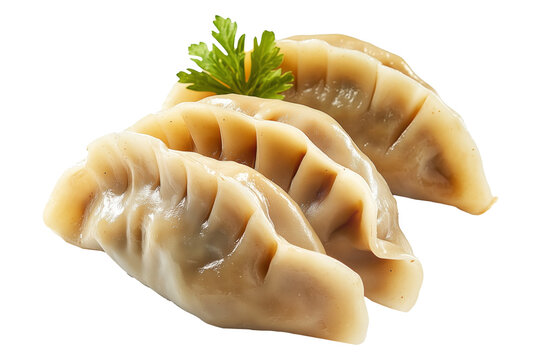 Steamed dumplings mandu with glossy surface and pleated edge isolated on white transparent background, concept of traditional Asian food