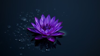 Dark Purple Water Lily Floating on Dark Water with Water Droplets Deep Violet Lotus Flower Aquatic Plant