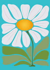 Minimalistic daisy on a blue background