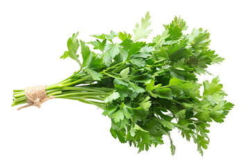 Fresh Parsley Bunch Isolated on White Background
