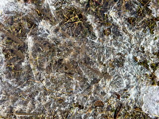 Close-up of frozen ground with blades of grass and air bubbles trapped in transparent ice. Natural winter texture.