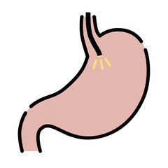 胃カメラで検査中の胃