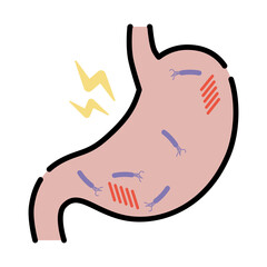 ピロリ菌に感染した胃