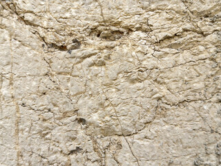 Close-up of cracked beige rock surface revealing natural texture and pattern