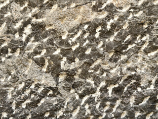 Close-up of black and white textured stone surface