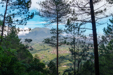 morning in the mountains