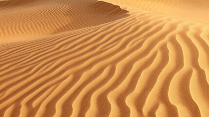 Sand dunes with smooth, wavy patterns under bright sunlight. The scene captures the natural beauty of a desert landscape.