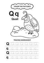 Illustration Isolated Animal Alphabet Trace and color Letter Q-quail
