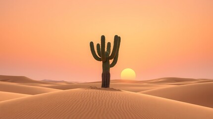 A saguaro cactus standing tall in a desert landscape with a soft sunset in the background casting warm light