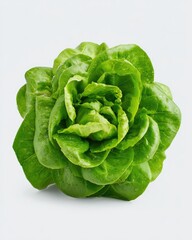 Fresh, vibrant green head of lettuce