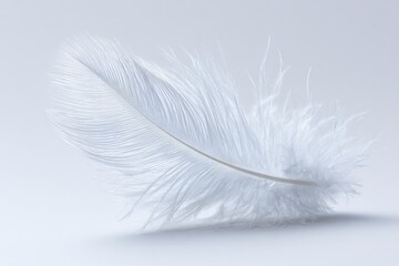 Obraz premium Abstract 3D White Feather Design