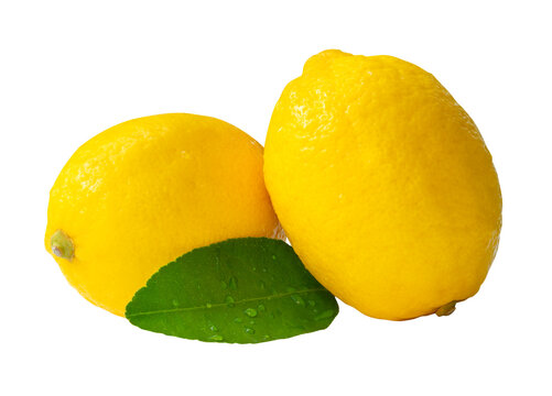 Side view of two fresh ripe yellow lemon fruits with green lemon leaf and water droplets in stack isolated with clipping path in png file format - Powered by Adobe