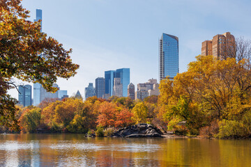 Obraz premium Central Park in New York City on a sunny autumn