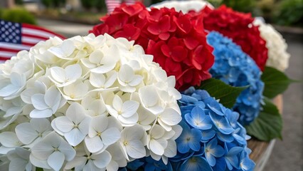 Vibrant Hydrangea Blooms in Red, White, and Blue for Celebration