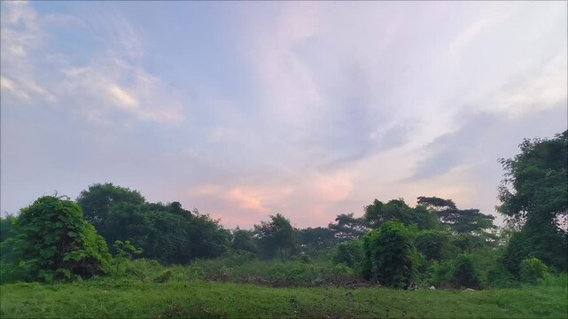Dusk Over a Wild Park Landscape: This wide landscape shot captures a serene view of what could be an expansive, wild section of a park or an undeveloped natural area on the outskirts of a city.