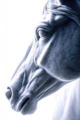 Naklejka premium Detailed Marble Horse Head Sculpture