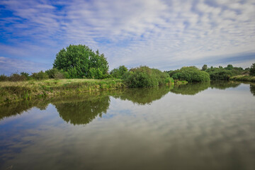 Fototapeta premium pond in summer in the wild