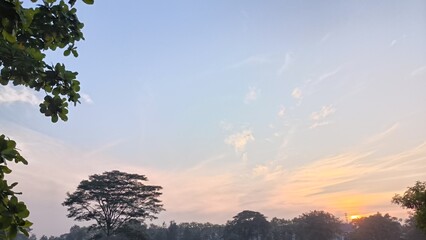 Serene Morning Landscape with Gentle Sunrise: A peaceful morning scene unfolds with the soft light of the rising sun gracing the horizon