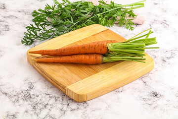 Toung fresh ripe orange carrot