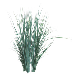 Lush green grass blades on a white background.