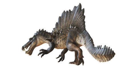 Fototapeta premium Digitally rendered Spinosaurus on white background