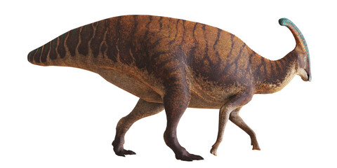 Fototapeta premium Realistic depiction of a walking Parasaurolophus.