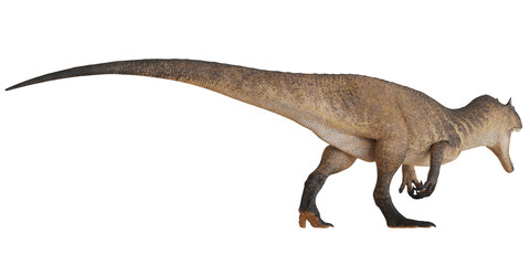 Realistic dinosaur model on white background. © Ilie