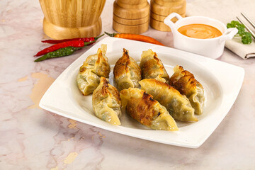 Japanese fried Gyoza stuffed dumplings