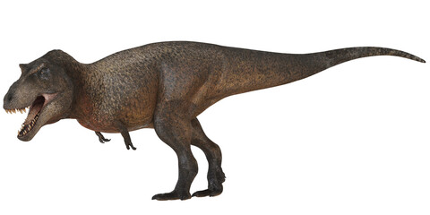 Realistic model of a fierce Tyrannosaurus rex.
