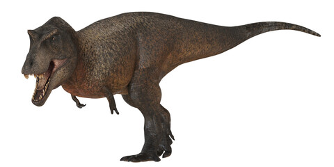 Realistic Tyrannosaurus Rex model in motion.