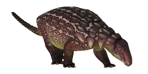 Colorful ankylosaurus dinosaur model on white background.
