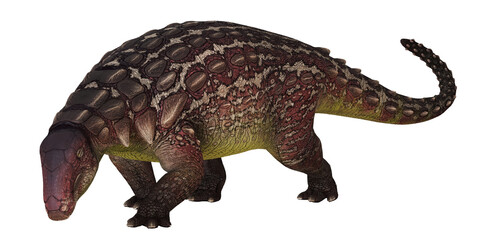 Realistic ankylosaurus dinosaur illustration.