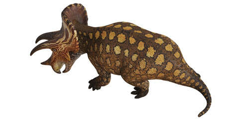 Artistic rendering of a Styracosaurus dinosaur.