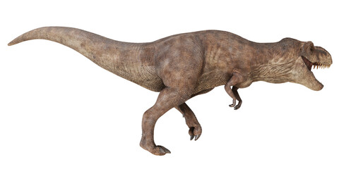 Realistic Tyrannosaurus rex dinosaur illustration.