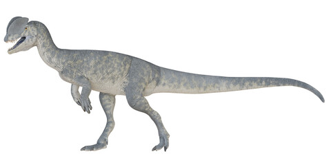 Fototapeta premium Realistic illustration of a prehistoric dinosaur