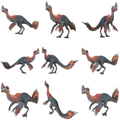 Illustration of a vibrant, feathered dinosaur.
