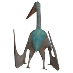 Pterosaur with outstretched wings in flight stance. © Ilie