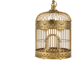 Ornate gold birdcage decorative ornament isolated on transparent background
