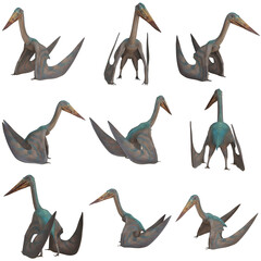 Realistic models of a prehistoric pterosaur © Ilie