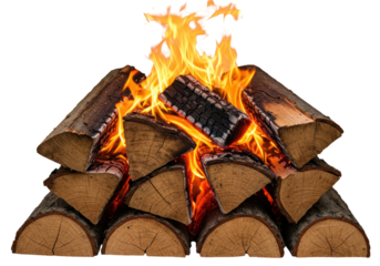 Isolated Bonfire with Burning Logs and Flames