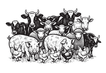 Vector of illustration monochrome of farm animals including cows, pigs, sheep, and chickens. Bold black lines, vintage style, isolated on white background.