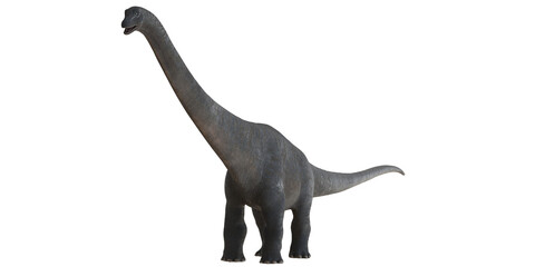 Obraz premium Majestic brachiosaurus on white background