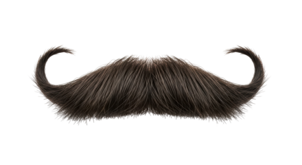 Isolated Detailed Brown Mustache Hairpiece Accessory