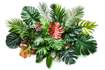 Assorted tropical leaves on white background