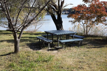 テーブルとベンチと紅葉のある湖畔風景　